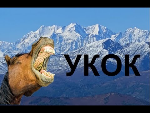 Видео: Конная разведка авто маршрута:   плато Укок - Чокпартас