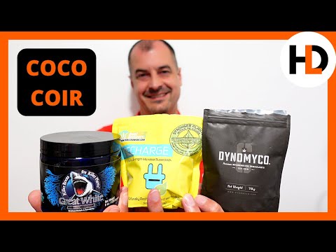 Видео: Эксперимент с 3-сторонней микоризой: бурный рост корней?