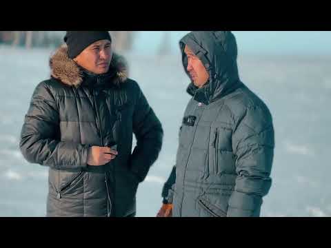 Видео: Ақмола облысы, Зеренді ауданы, Еңбекбірлік шаруашылығында МҰҒАЛЖАР жылқысын дамытуда