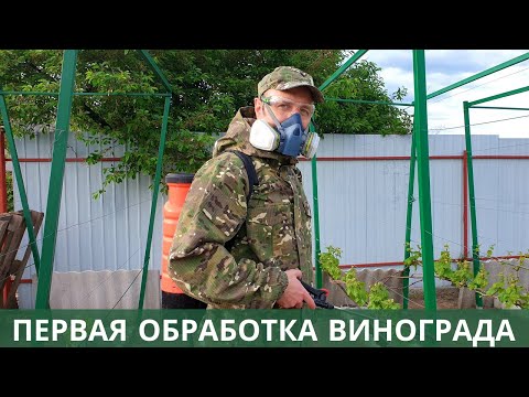 Видео: Первая обработка винограда! Фаза 3-5 листьев