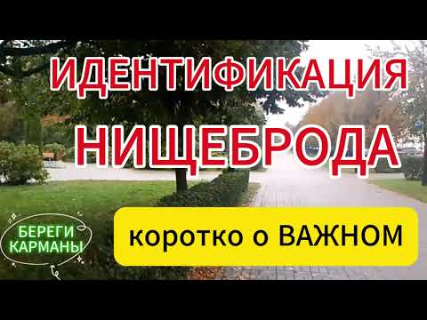 Видео: ИДЕНТИФИКАЦИЯ НЕЩЕБРОДА.коротко о ВАЖНОМ.