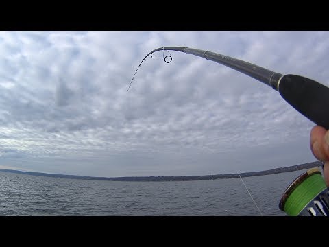 Видео: ВОТ ОН, долгожданный СУДАК. Ловля судака на волге на крупную резину.