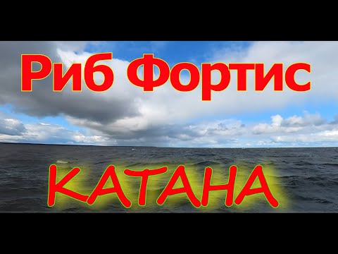 Видео: Риб Фортис Катана Ладожское озеро