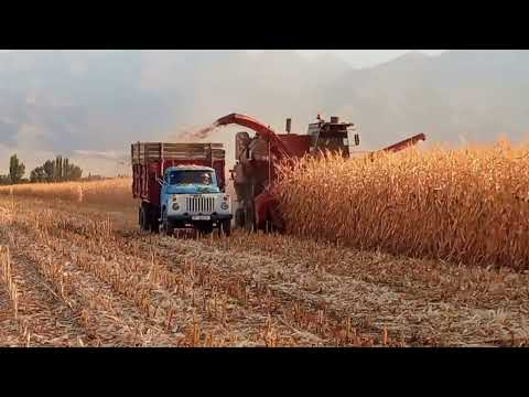 Видео: ЭТО НАДОЛГО 🤯