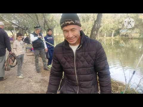 Видео: Амурлари маконида #Andijan fishermen чемпионати