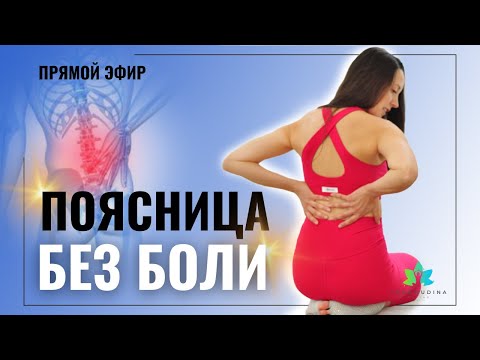 Видео: ПОЯСНИЦА БЕЗ БОЛИ: ceкреты ЗДОРОВЬЯ и молодости ПОЗВОНОЧНИКА (Прямой эфир)