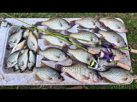 Видео: ЗАГРУЗИЛИ ЛОДКУ ОСЕННИМ КРАППИ!!! Эта ПРОСТАЯ УСТАНОВКА — деньги!