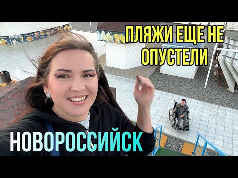 Видео: Кого мы ВСТРЕТИЛИ НА Пляже АЛЕКСИНО#животные#море#кофе