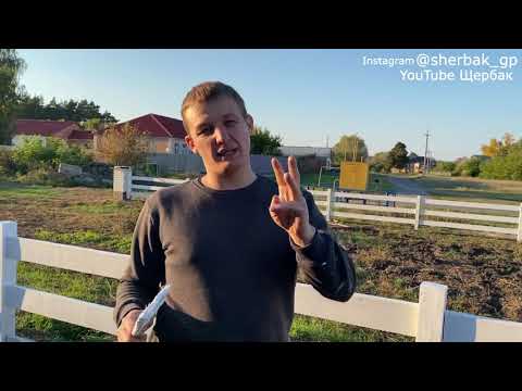 Видео: Щербак о Лёхе № 5