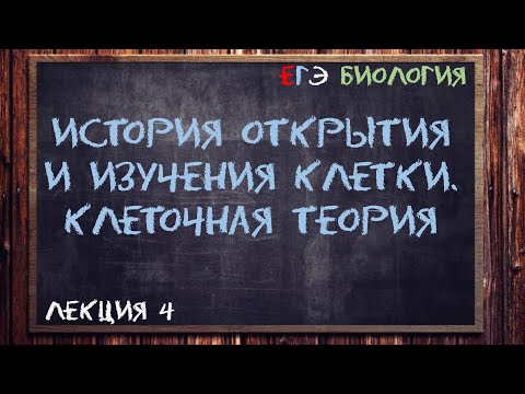 Видео: Л.4 | История открытия и изучения клетки | Клеточная теория | ОБЩАЯ БИОЛОГИЯ ЕГЭ