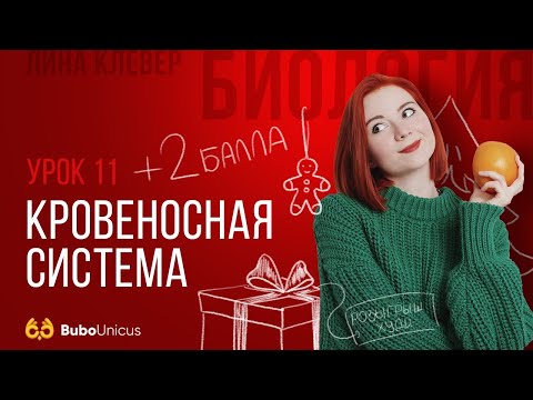 Видео: Кровеносная система | БИОЛОГИЯ ЕГЭ | Лина Клевер