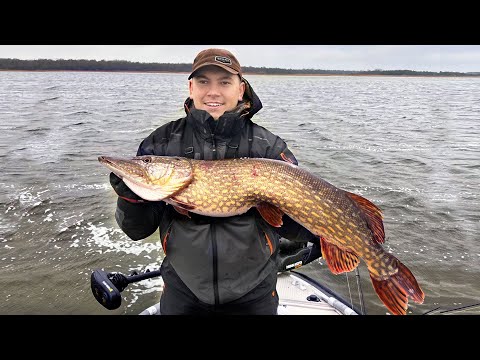 Видео: ТРОФЕЙНАЯ ЩУКА 7кг | Крупная щука на спиннинг