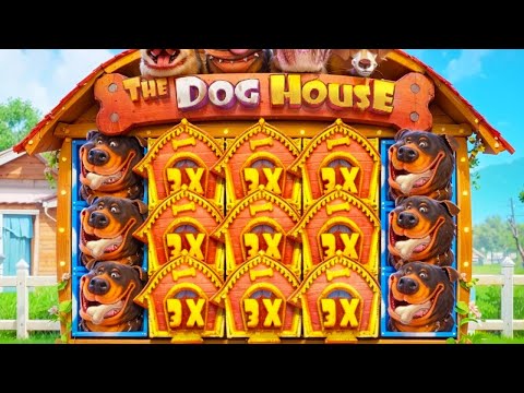 Видео: ТОЛЬКО ПЕРВЫЙ БОНУС И УЖЕ ЗАНОС В THE DOG HOUSE / ОТМАЗ / ЗАНОСЫ НЕДЕЛИ