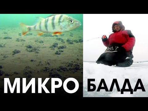 Видео: Ловля на МИКРОбалду и безкивковую зимнюю удочку / Подводные съёмки озеро Мядель