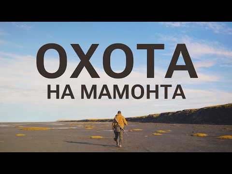 Видео: Как люди в Якутии зарабатывают на бивнях мамонтов?