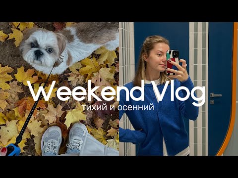 Видео: Тихий уютный осенний влог✨