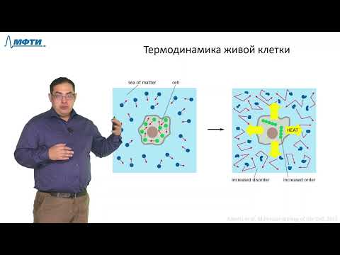 Видео: Лекция 1.2. Химия и биоэнергетика клетки. Трофимов В.В., МФТИ (2021)