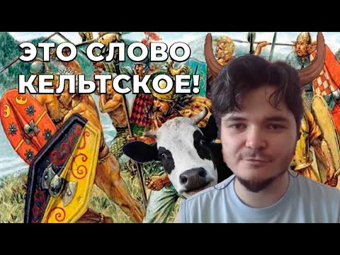 Видео: Лингвист Маргинал рассказал за кельтское влияние на языки