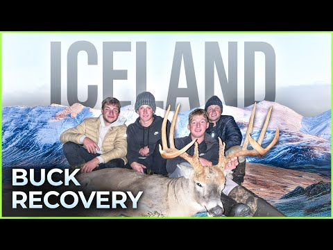 Видео: Видеоблог: Полет в 2800 миль в поисках больших денег