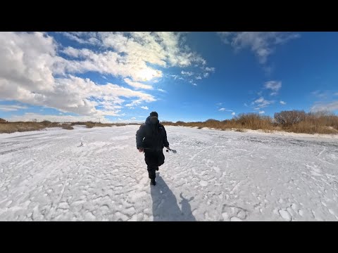 Видео: Окуни порадовали на закрытие зимней рыбалки на Нуре