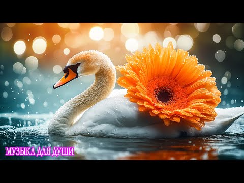 Видео: Я плакала, когда услышала эту песню! Очень Красивая Мощная Музыка для души! музыка для души#79