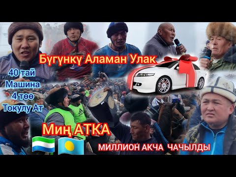 Видео: Ноокаттагы 💥Аламан Улак Толугу менен  🇵🇼Казакстан 🇸🇱Узбекстан  Балбандары келди