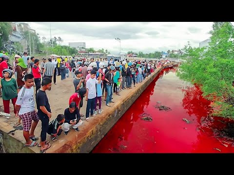 Видео: Невероятные Моменты, Снятые на Камеру