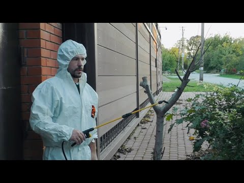 Видео: ЛЕКАРСТВО которое выдали по рецепту / Посмеялись / Первое дистанционное занятие / Влог из Анапы