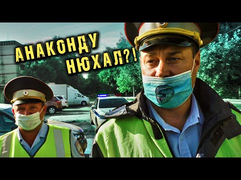 Видео: Утренние нюхачи обломались два раза / Спец рота