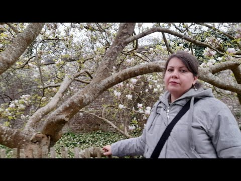 Видео: Фразы нарцисса для удержания Вас в ссоре. Многочасовые ссоры с нарциссом