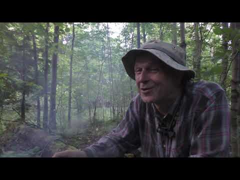 Видео: Тест самодельного сухого пайка. Комплект №1. Каша ПочтиПлов