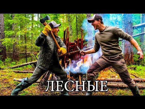 Видео: ВЫЖИВАНИЕ В ЛЕСУ - ТОПОР ПРОТИВ НОЖА | Укрытие, костер и дрова, мясо