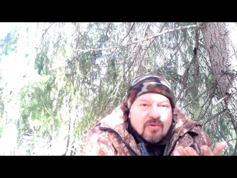 Видео: Два звука для успешной охоты на гуся.