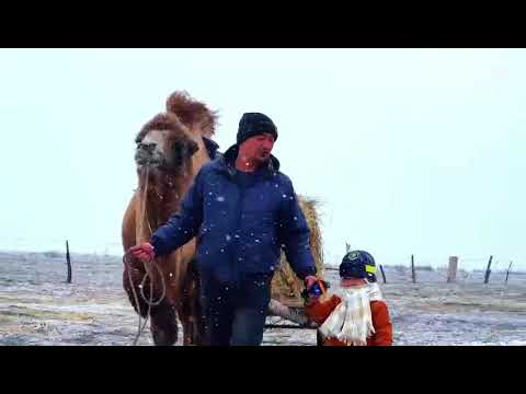 Видео: "Шебер әке, өнерлі ана,еңбекқор бала" байқауы  "Көгершін "тобының тәрбиеленушісі Тоқтар Сұлтан