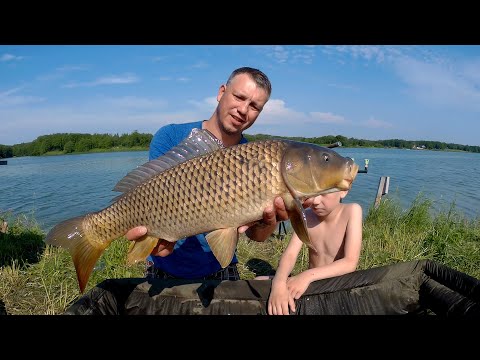 Видео: Бешеный клев карпа на Царской Рыбалке в Кипени. Семьей на турнире flat feeder Санкт-Петербург 2019.