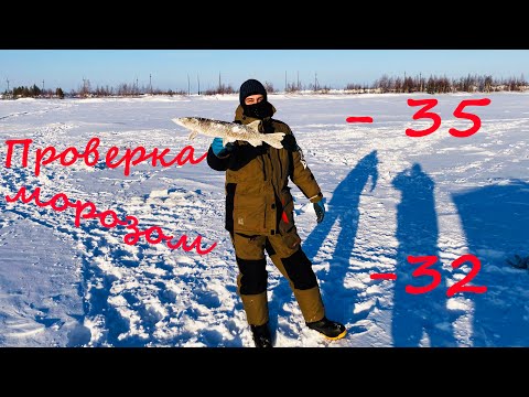 Видео: При такой температуре рыба замерзает всего за пару минут. Зимняя рыбалка 2025.