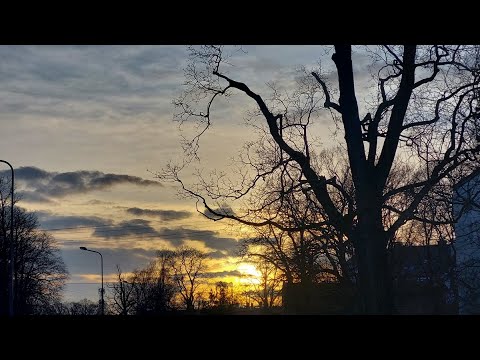 Видео: влог - немного секонда, покупок, Хвостика и приятных воспоминаний