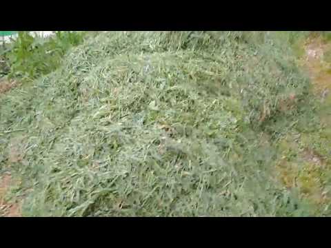 Видео: Газонокосилка 2 или модернизация