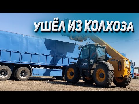 Видео: Ушёл из колхоза! КАМАЗ трудяга на рапсе !