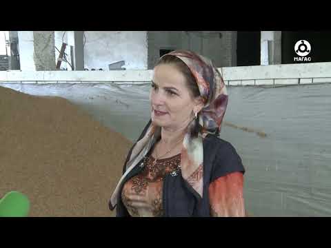 Видео: ГУП НЕСТЕРОВСКАЯ КОСТОЕВ МУСА 18102023