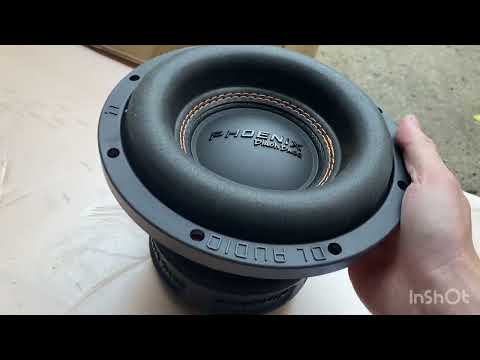 Видео: Обзор и прослушка сабвуфера DL Audio Phoenix Black Bass 8 в автомобиле Toyota Funcargo