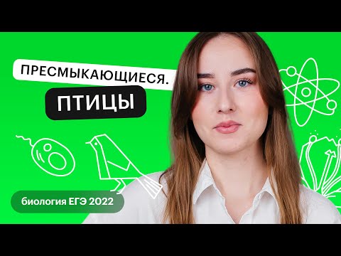 Видео: Пресмыкающиеся и  птицы | Биология ЕГЭ с Альбиной Амировой
