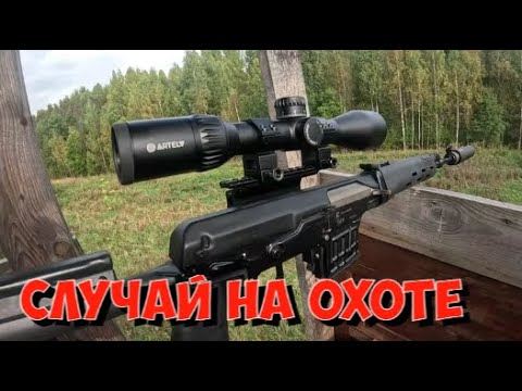Видео: Охота на кабана с вышки