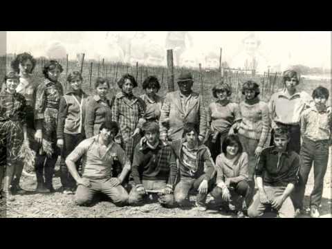 Видео: Школы Наурского района.