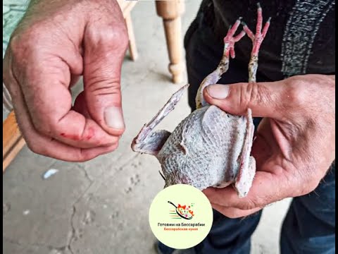 Видео: Шурпа из голубей от охотника