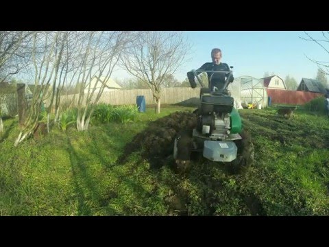 Видео: caiman vario 70s twk+ в работе, 2016 г.