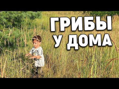 Видео: Грибы у дома,Готовим блюда Камбоджийской кухни дома mushrooms at home, Cooking Cambodian cuisine