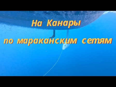 Видео: На яхте из Марокко на Канарские острова 2024--25