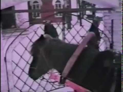 Видео: "Голоса Ветлуги"