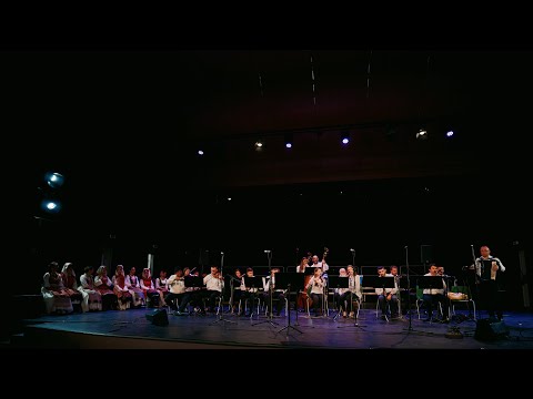 Видео: Ансамбл ВИЛА - Мало банатско коло